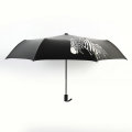 B17 zebra color changing umbrella creative зонтик печать зонтик